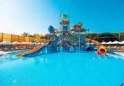 THE X BELEK