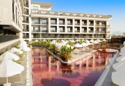 THE X BELEK