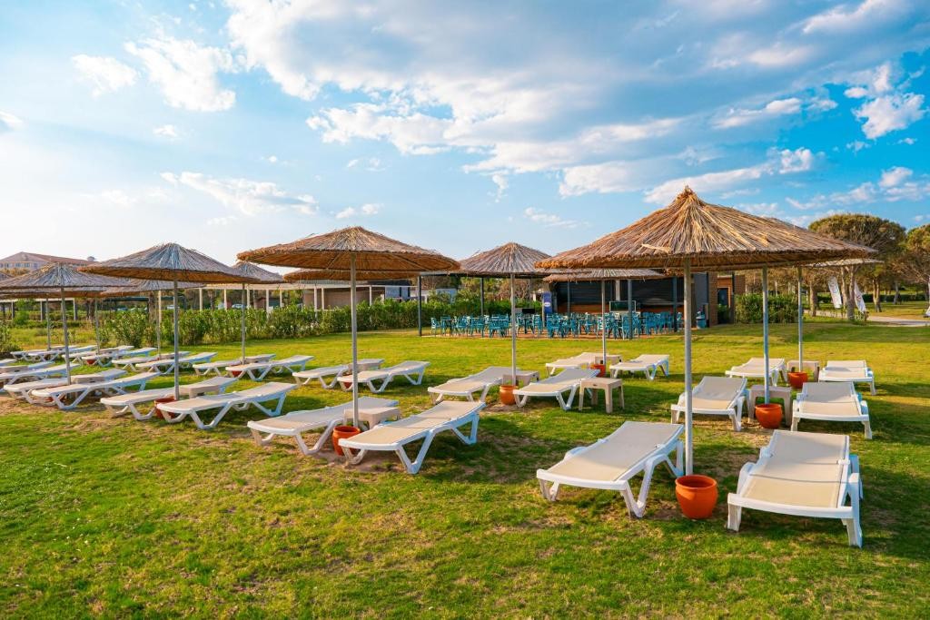 THE X BELEK