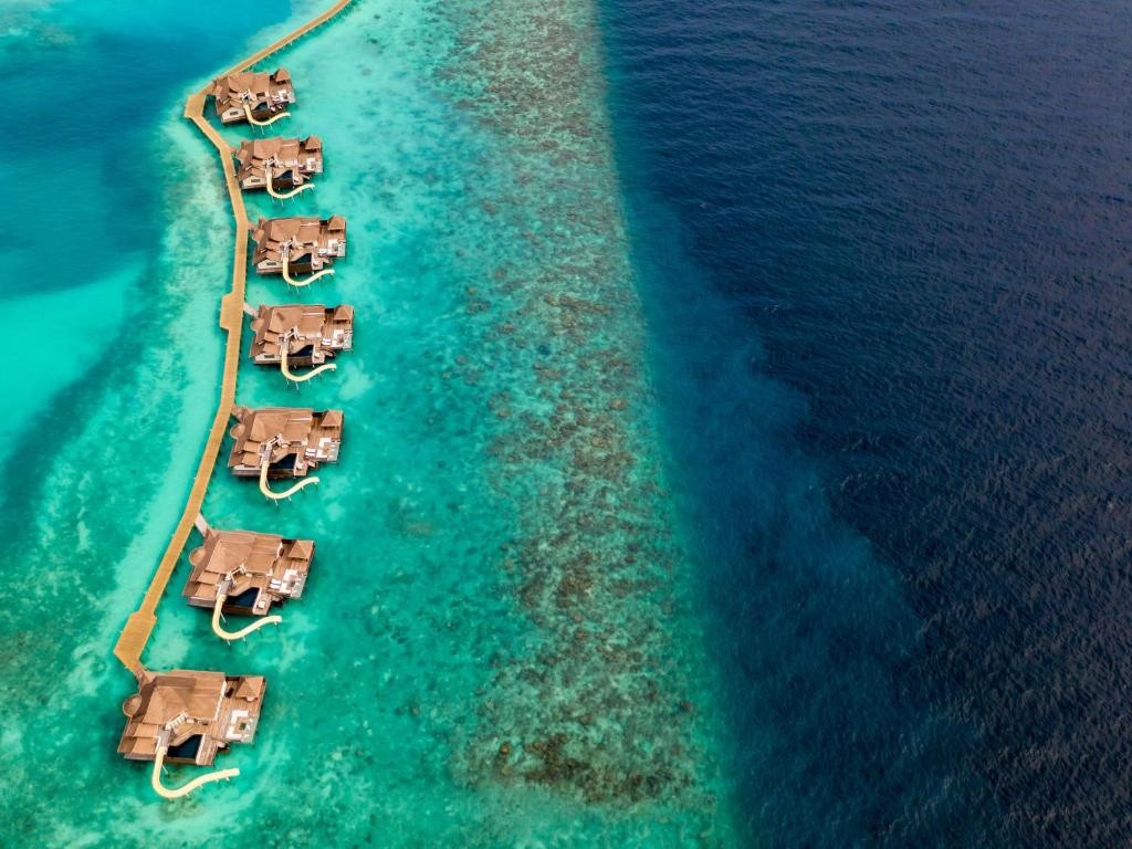 OZEN RESERVE BOLIFUSHI