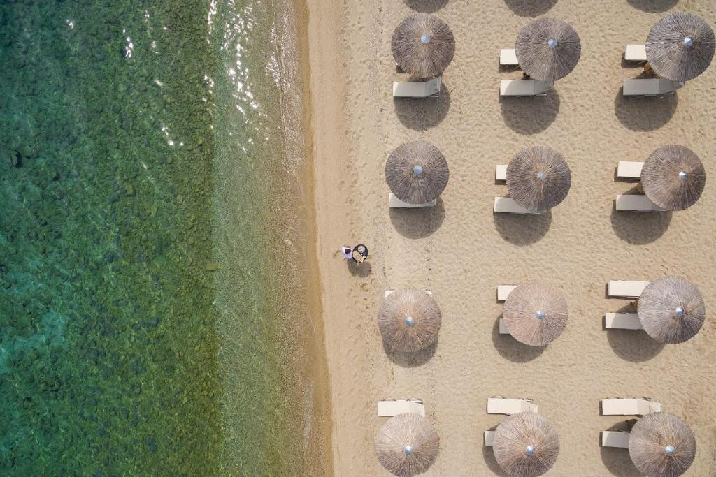 Kassandra Palace Seaside Resort