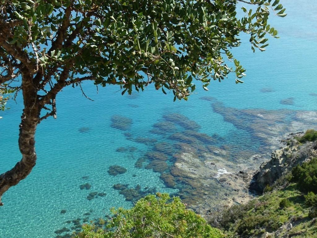 APHRODITE BEACH HOTEL