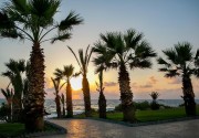 LOUIS PAPHOS BREEZE