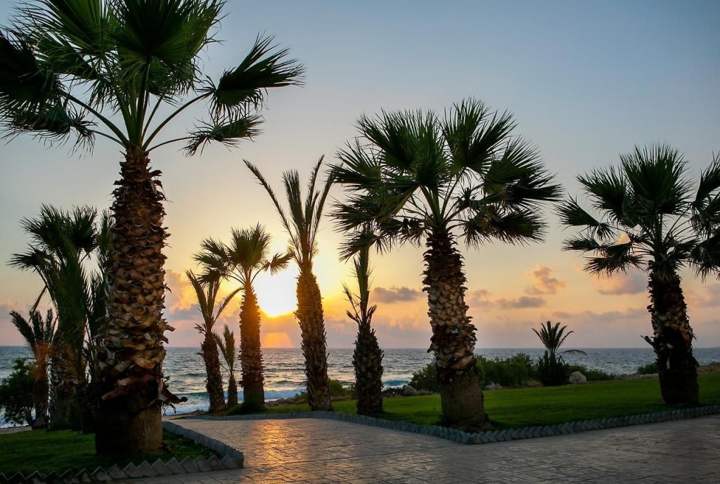 LOUIS PAPHOS BREEZE