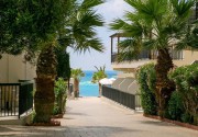 LOUIS PAPHOS BREEZE