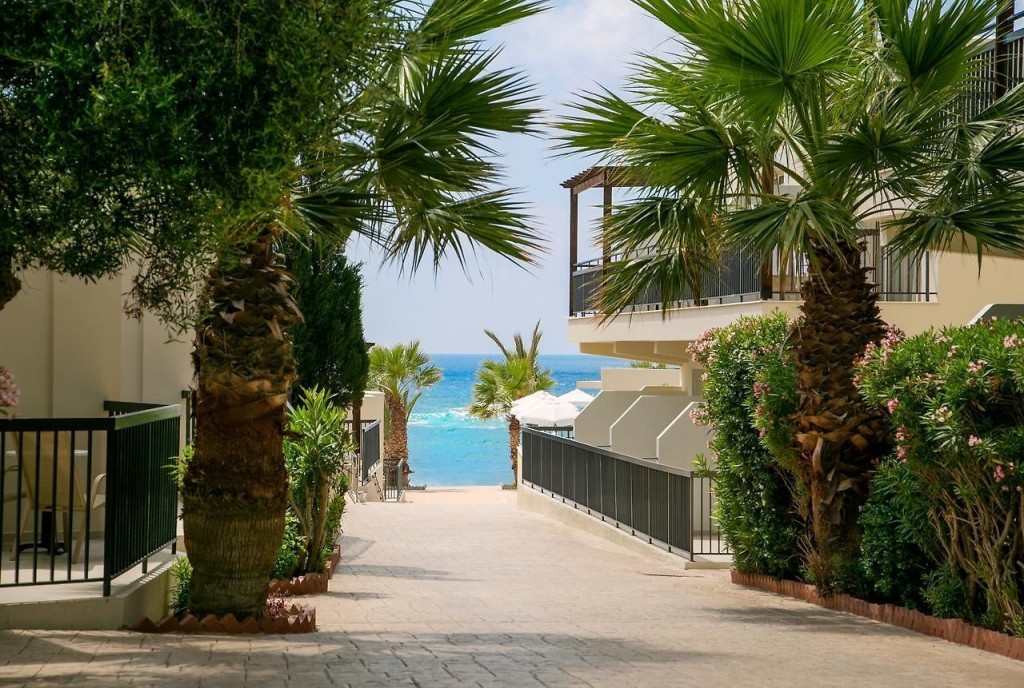 LOUIS PAPHOS BREEZE