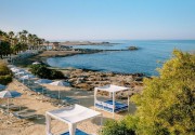 THE IVI MARE