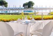THE IVI MARE