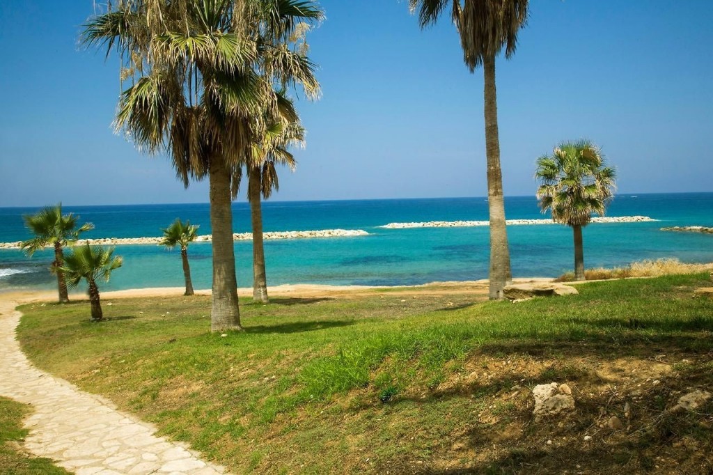 VENUS BEACH HOTEL