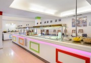 Hotel Vibra Palma Cactus