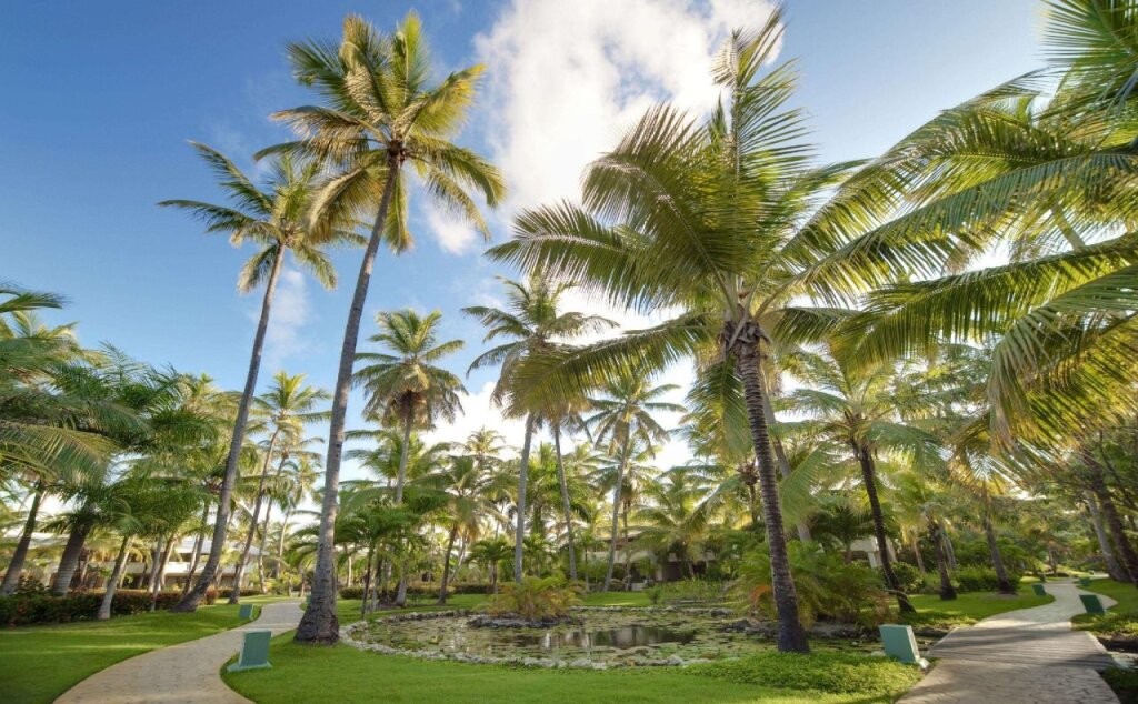 Melia Punta Cana Beach Wellness Inclusive - Adults Only