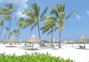 Beach Bungalows Los Corales