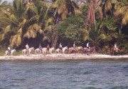 Hotel Bavaro Green