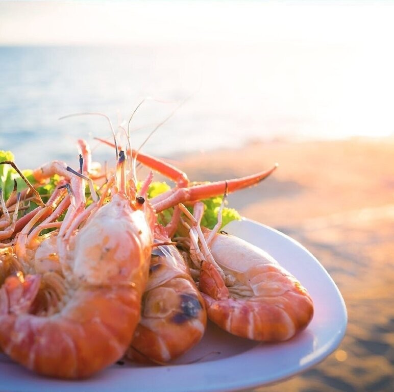 Playa Palmera Beach Resort