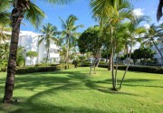 Occidental Punta Cana