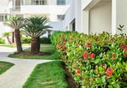 Las Terrazas Condo - Los Corales Village
