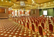 SIAM ELEGANCE SONNENKLAR