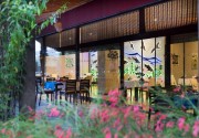 SIAM ELEGANCE SONNENKLAR