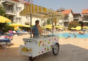 SUNLIGHT GARDEN HOTEL