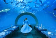 YOU & ME BY COCOON MALDIVES