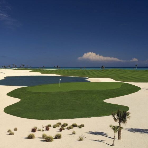 AlSol Del Mar