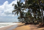TANGERINE BEACH HOTEL