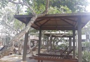 TANGERINE BEACH HOTEL