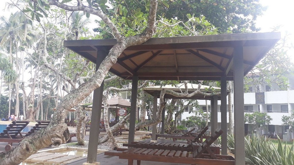 TANGERINE BEACH HOTEL
