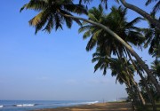 BLUE WATERS