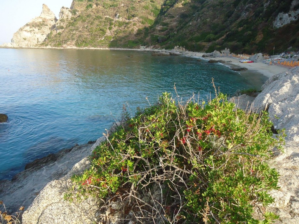 Marinella Hotel
