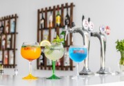 PAPANTONIA HOTEL APTS