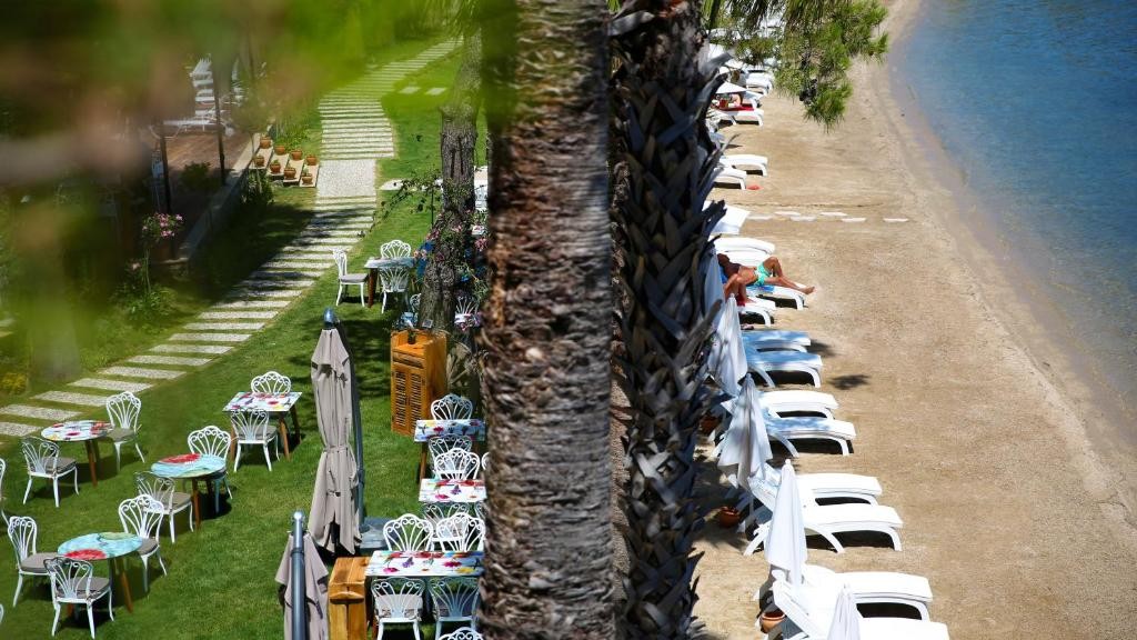 JOYA DEL MAR HOTEL
