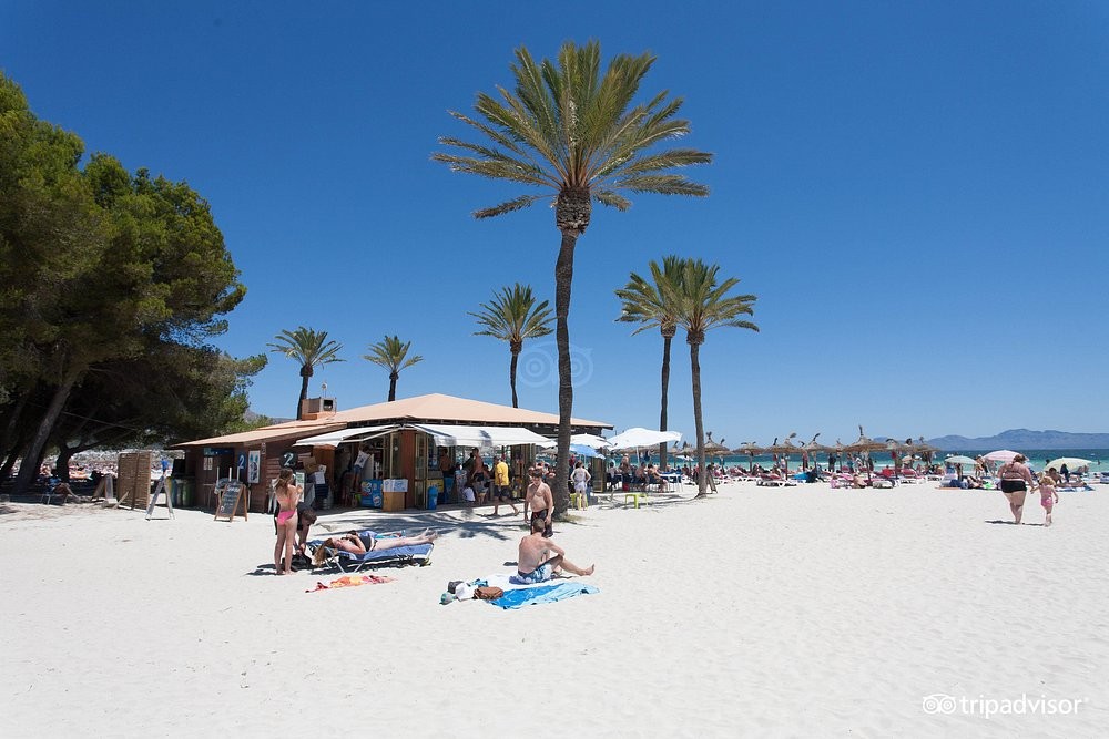 APARTHOTEL ALCUDIA BEACH