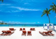 GRAND OASIS PALM