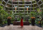THE PYRAMID CANCUN