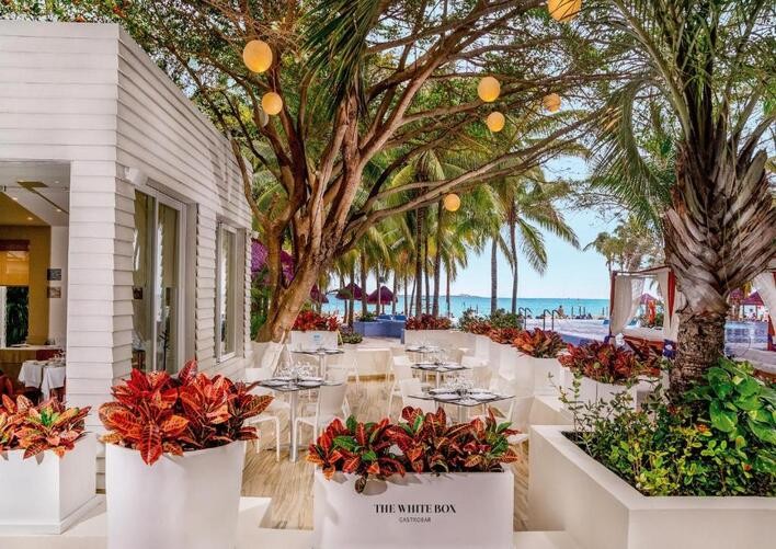 THE SENS CANCUN BY OASIS