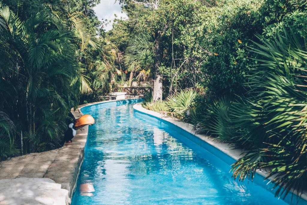 IBEROSTAR SELECTION PARAISO MAYA SUITES