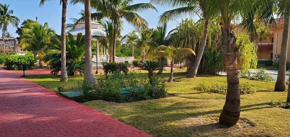 ROC ARENAS DORADAS