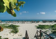 BARCELO SOLYMAR