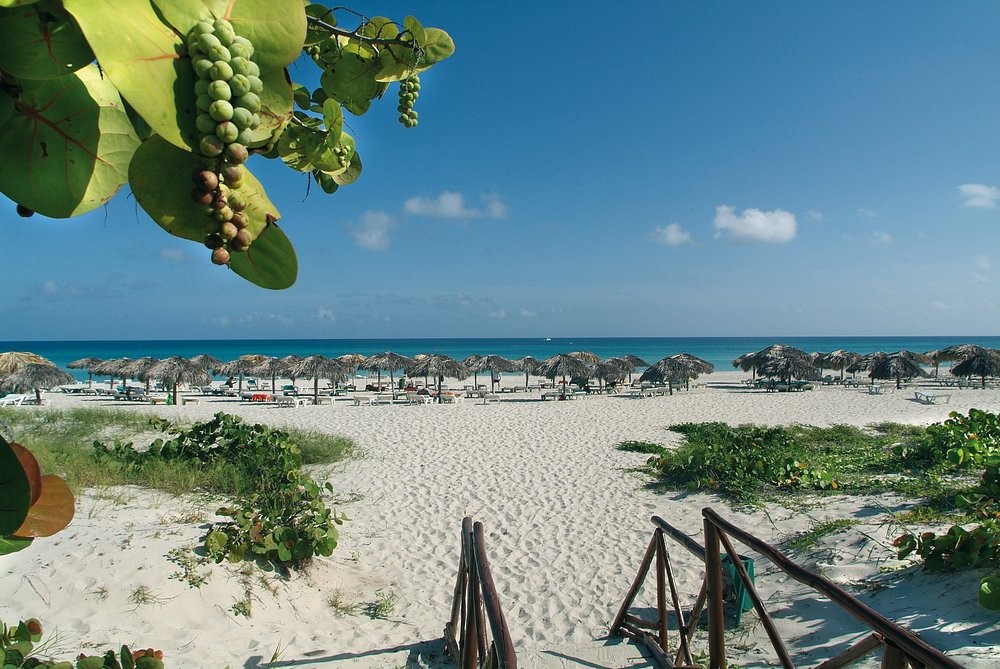 BARCELO SOLYMAR