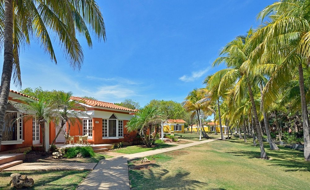 SOL PALMERAS