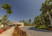 SOL PALMERAS