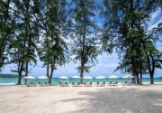 Amora Beach Resort Phuket