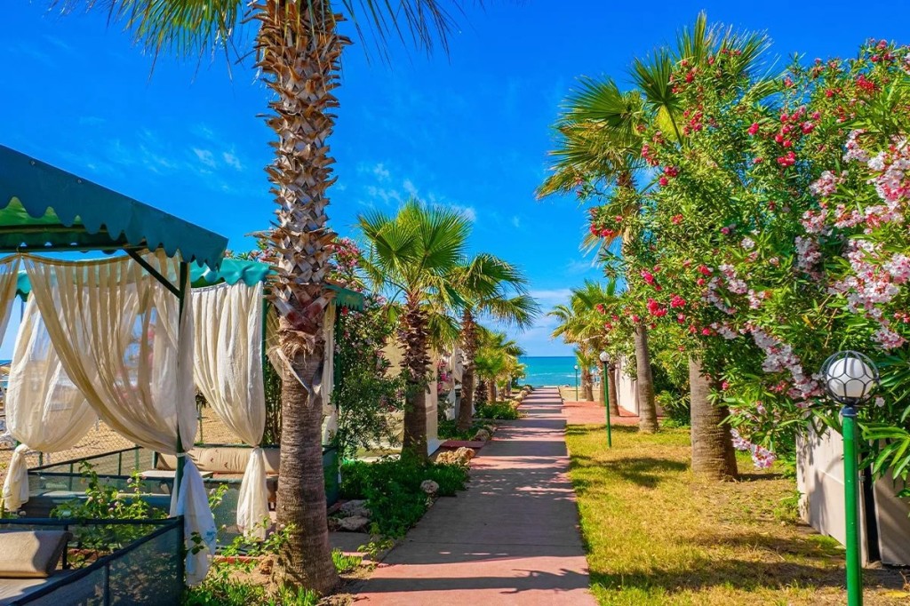 Club Wasa Holiday Village