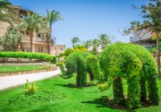 SEAGULL BEACH RESORT