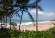 Turtle Bay Resort