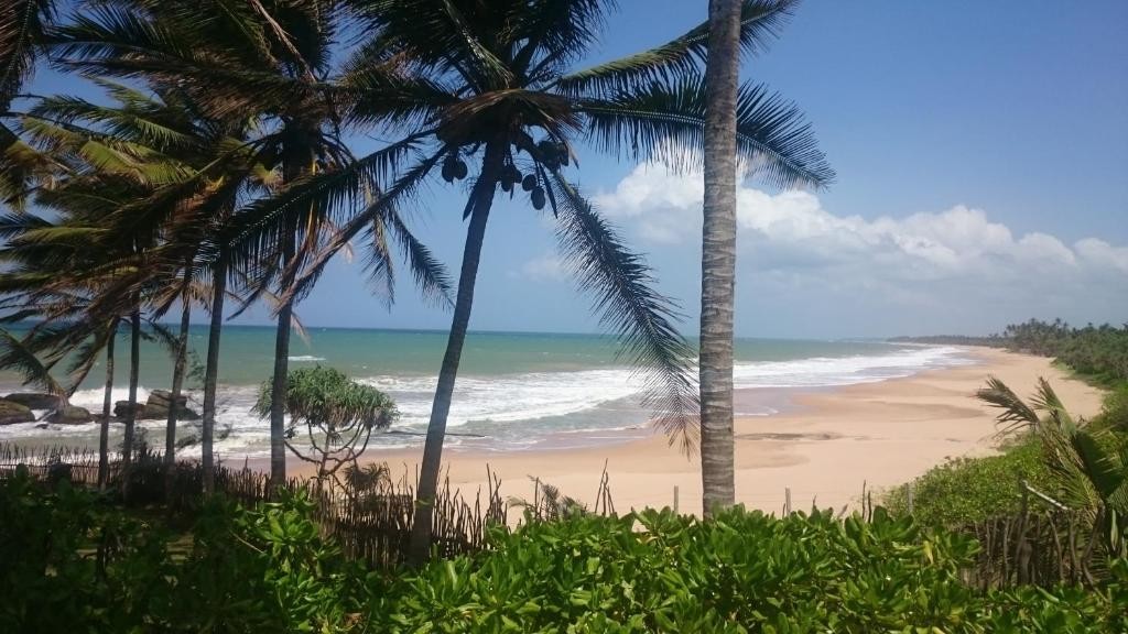 Turtle Bay Resort