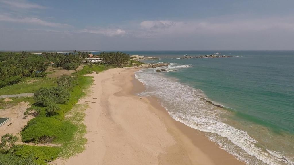 Turtle Bay Resort