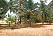 Lagoon Paradise Beach Resort