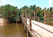 Lagoon Paradise Beach Resort